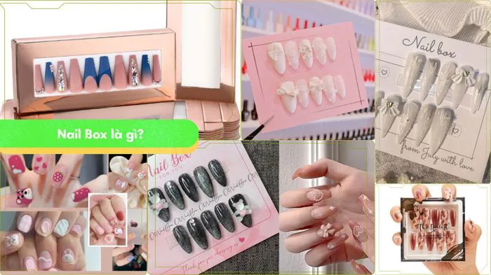 Tại Sao Nail Box Đang Là Tại Sao Nail Box Đang Là