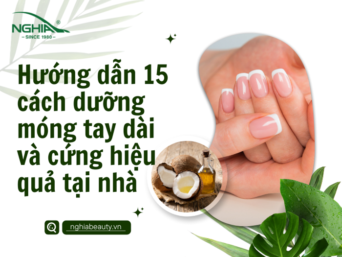Hướng dẫn 15 cách dưỡng móng tay dài và cứng hiệu quả tại nhà – Kềm Nghĩa -  Nghia Nippers