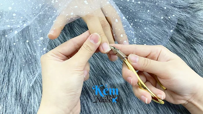 Kìm Nhặt Da Chết Móng Tay Giá Bao Nhiêu ? Loại Nào Tốt ! - Công Ty TNHH  Thương Mại Kềm Nails