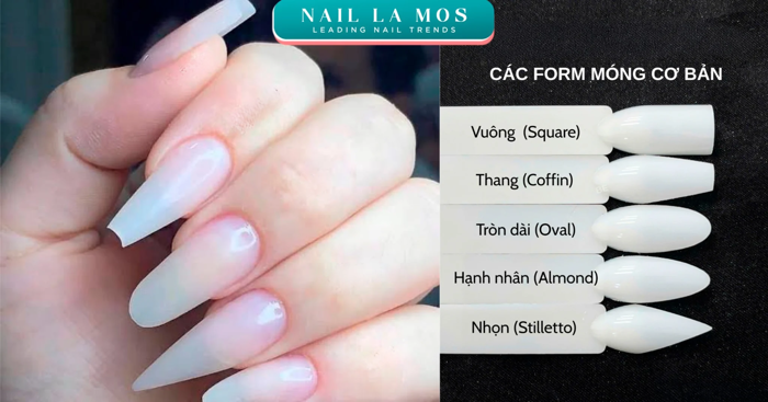 Móng Úp Là Gì? Tìm Hiểu Công Dụng Và Các Form Móng Được Ưa Chuộng – NAIL LA  MOS