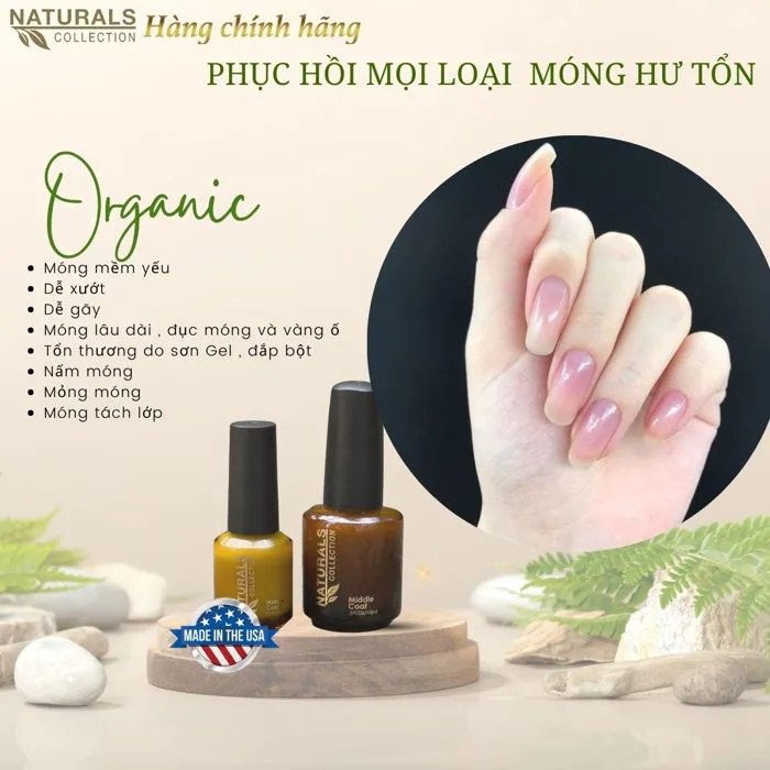Sơn Lót Móng Tay Base Coat USA NATURALS COLLECTION Liên Kết Bền Màu Thành  Phần Hữu Cơ Không Mùi Hóa Chất - 7.5ml | Lazada Việt Nam