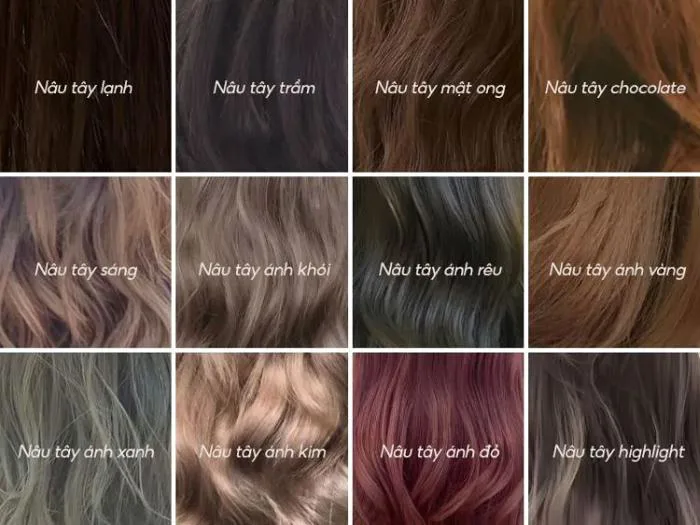 Tổng Hợp Bảng Màu Nhuộm Tóc Nâu Tây Hot Nhất 2026