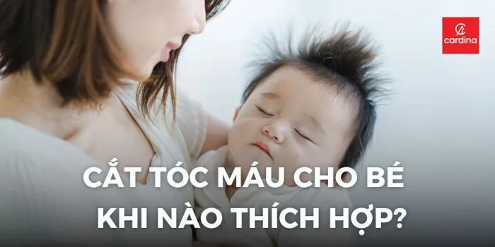 Cắt Tóc Máu Cho Bé Gái: Khi Nào Thích Hợp Những Điều Ba Mẹ Cần Lưu Ý