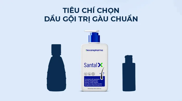 Top 7 Dầu Gội Gàu Tốt Nhất 2025: Review Chân Thực – Biocarepharma