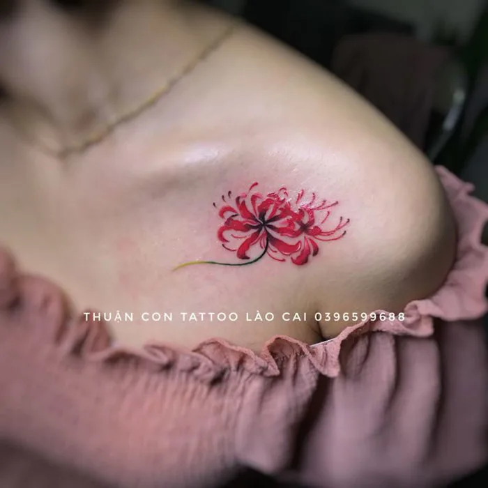 Bỉ ngạn, hình xăm hoa bỉ ngạn, hình xăm hoa bỉ ngạn đẹp, tattoo bỉ ngạn