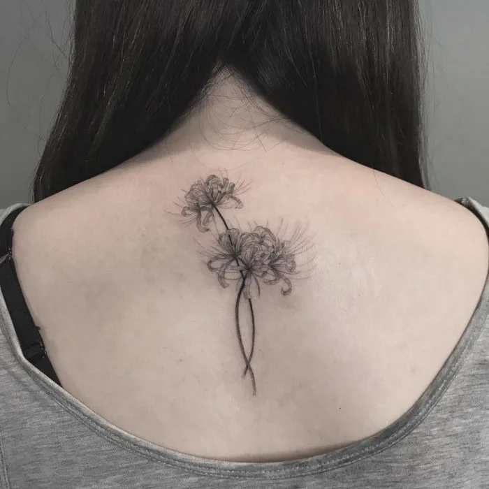 Mẫu hình xăm hoa bỉ ngạn đẹp, ý nghĩa và vị trí xăm thích hợp