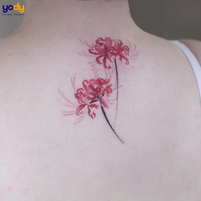 50+ Mẫu hình xăm hoa bỉ ngạn đẹp nhất với ý nghĩa sâu xa | Yody