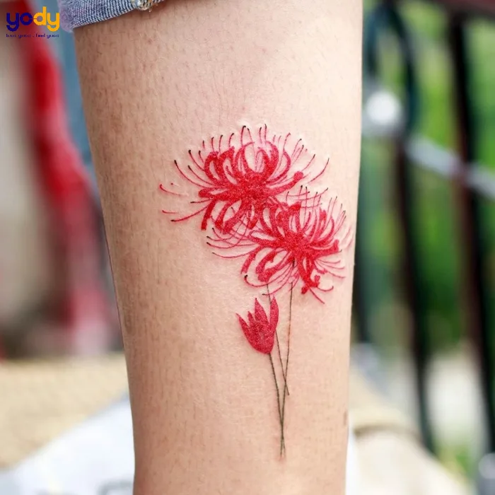 50+ Mẫu hình xăm hoa bỉ ngạn đẹp nhất với ý nghĩa sâu xa | Yody