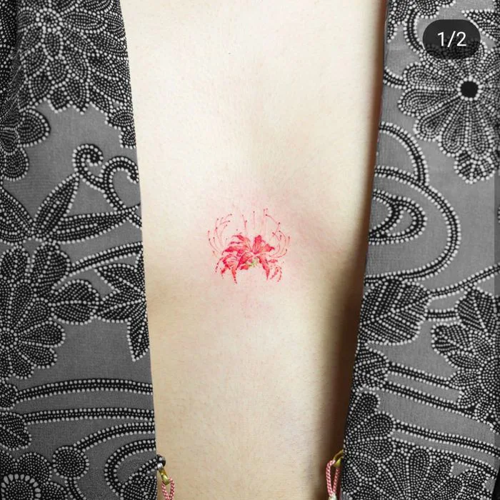38 Bỉ Ngạn Tattoo ý tưởng | hình xăm hoa, hình vẽ hoa, hoa bằng màu nước