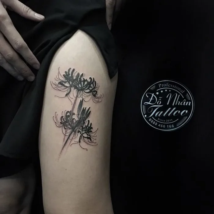 Hình xăm hoa bỉ ngạn. Xăm hình bấm TRUY CẬP để liên hệ