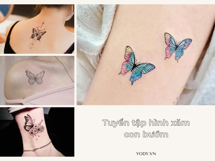 Trọn bộ 99+ Mẫu hình xăm con bướm mini đơn giản đẹp cho nàng | Yody
