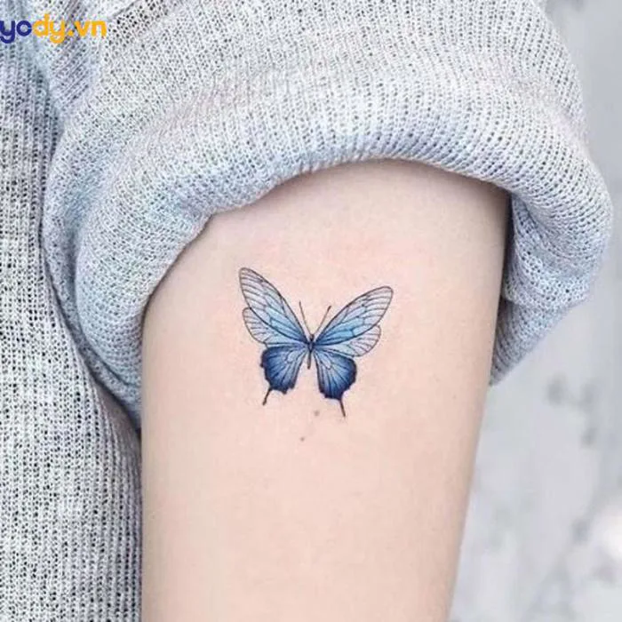 Trọn bộ 99+ Mẫu hình xăm con bướm mini đơn giản đẹp cho nàng | Yody