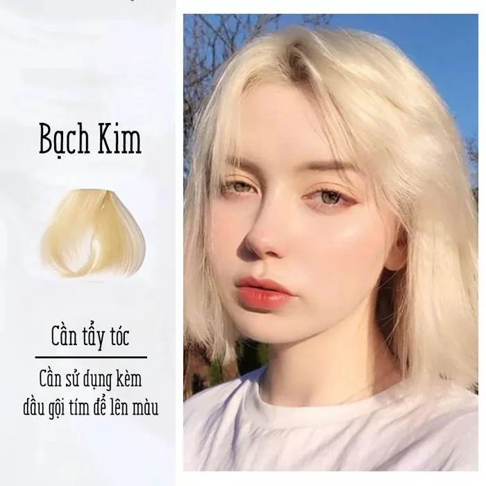 mau-nhuom-bach-kim-1