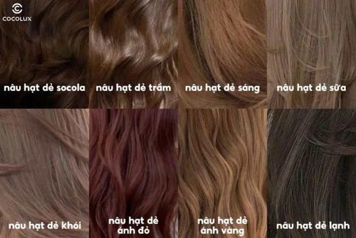 mau-nhuom-nau-hat-de-1