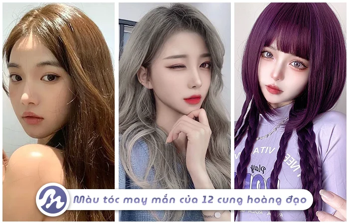 Bật Mí Màu Nhuộm Tóc May Mắn Tài Lộc Cho 12 Cung Hoàng Đạo