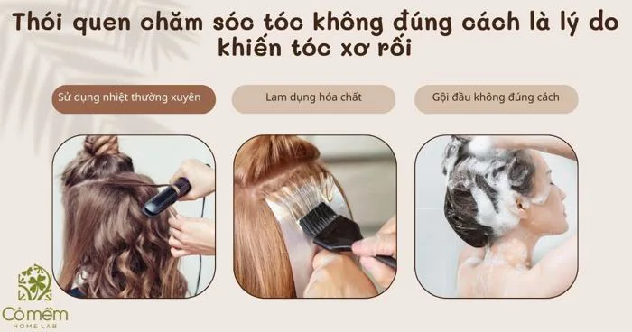 Tóc xơ rối nên làm gì? Nguyên nhân và biện pháp khắc phục