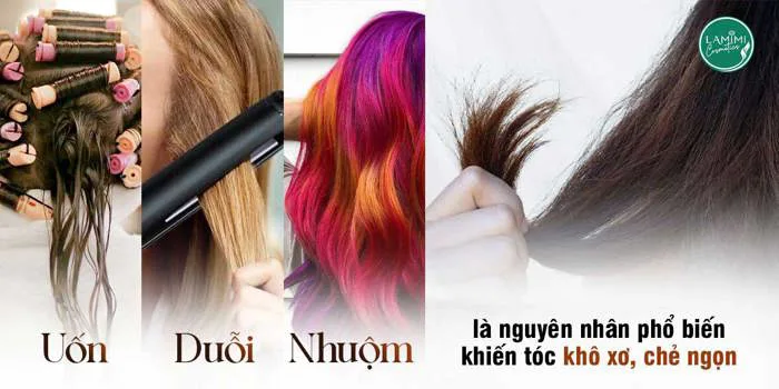 Nguyên Nhân Và Cách Chăm Sóc Tóc Khô Xơ Chẻ Ngọn – Lamimi