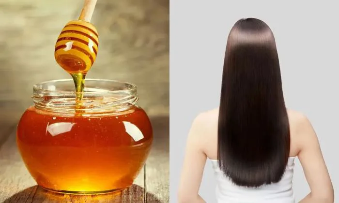 8 Cách phục hồi tóc khô xơ tại nhà đơn giản, mềm mượt