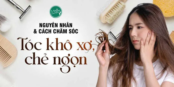 Nguyên Nhân Và Cách Chăm Sóc Tóc Khô Xơ Chẻ Ngọn – Lamimi