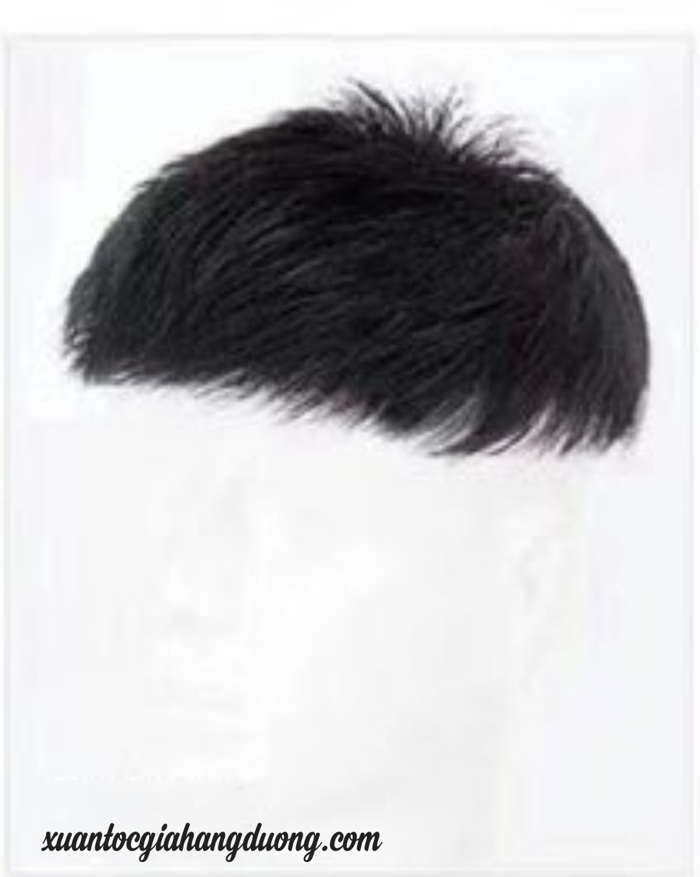 Tóc Mái Giả- Che Hói Nam - Chất Liệu Tóc Thật - CH02 - Xuân tóc giả hàng  đường - http://xuantocgiahangduong.com/