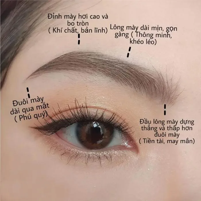 Phun xăm phong thủy? Các yếu tố để có đôi lông mày đẹp